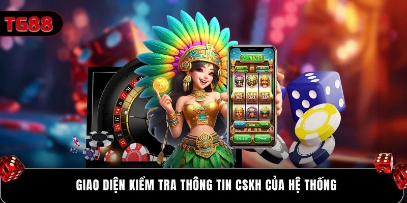 Giao diện kiểm tra thông tin CSKH của hệ thống