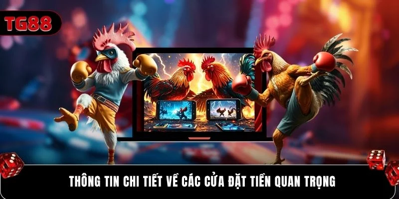 Thông tin chi tiết về các cửa đặt tiền quan trọng